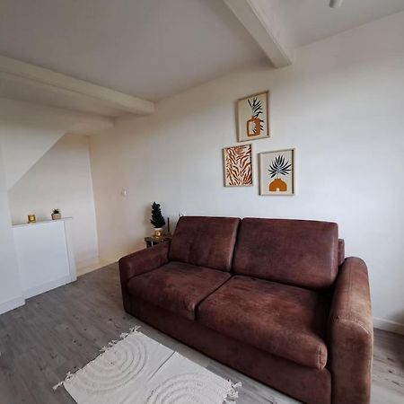 Charmant Duplex A Thiers, Vue Sur La Chaine Des Puys Ngoại thất bức ảnh